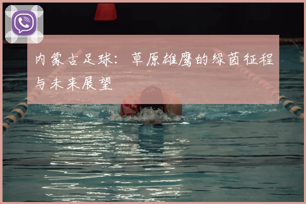 内蒙古足球：草原雄鹰的绿茵征程与未来展望